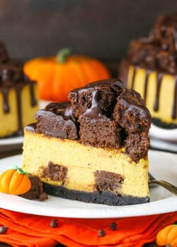 slice of chunkin chocolate pumpkin cheesecake