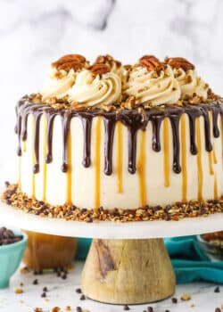 Side view of a full Turtle Chocolate Layer Cake on a white cake stand