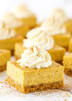 Pumpkin Cheesecake Bars topped with frosting swirls on a white table