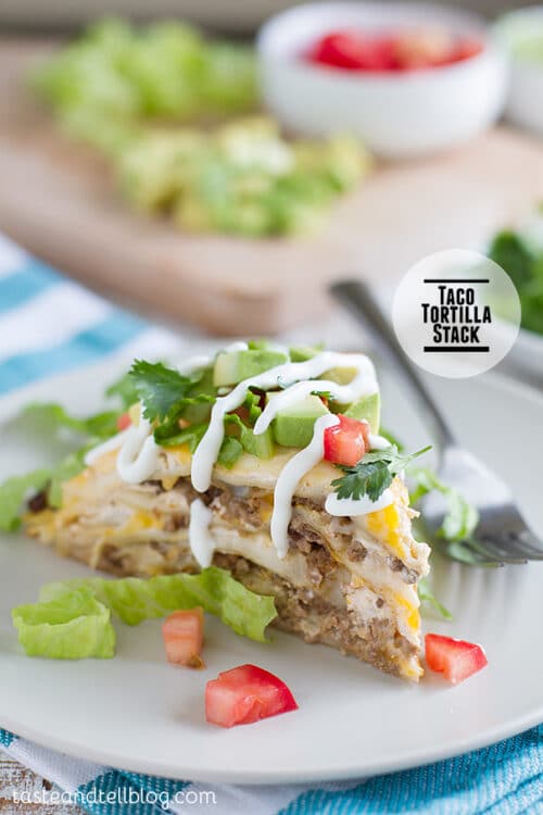 A Colorful Taco Tortilla Stack on a Plain White Plate