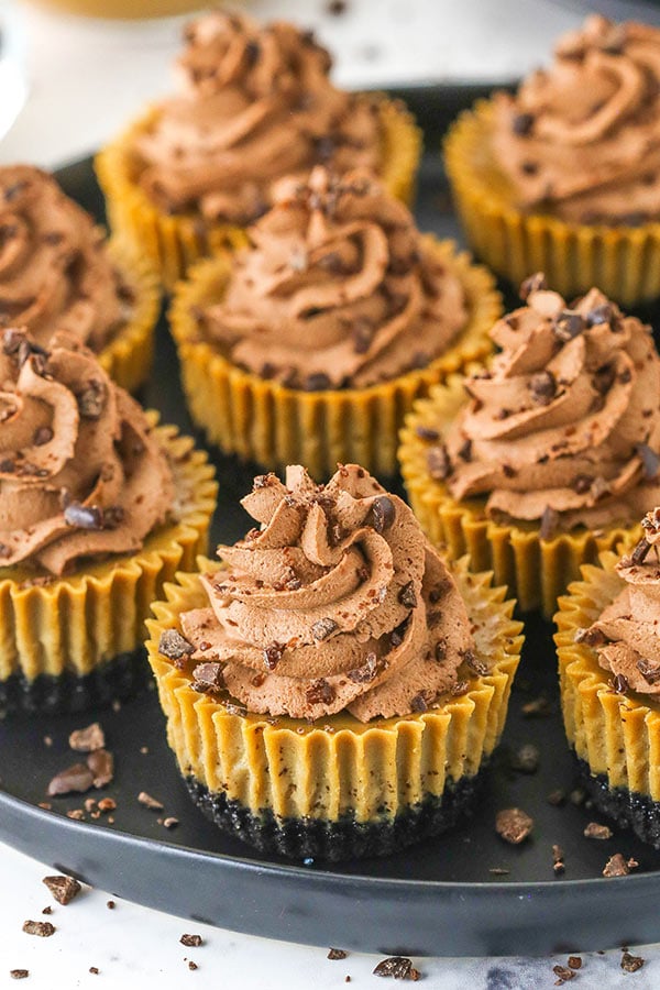 Nutella Iced Coffee Mini Cheesecakes Recipes Deporecipe.co