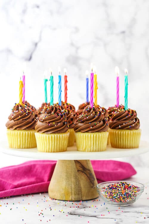 Yellow Cupcakes with Chocolate Frosting The Best Cupcake Recipe