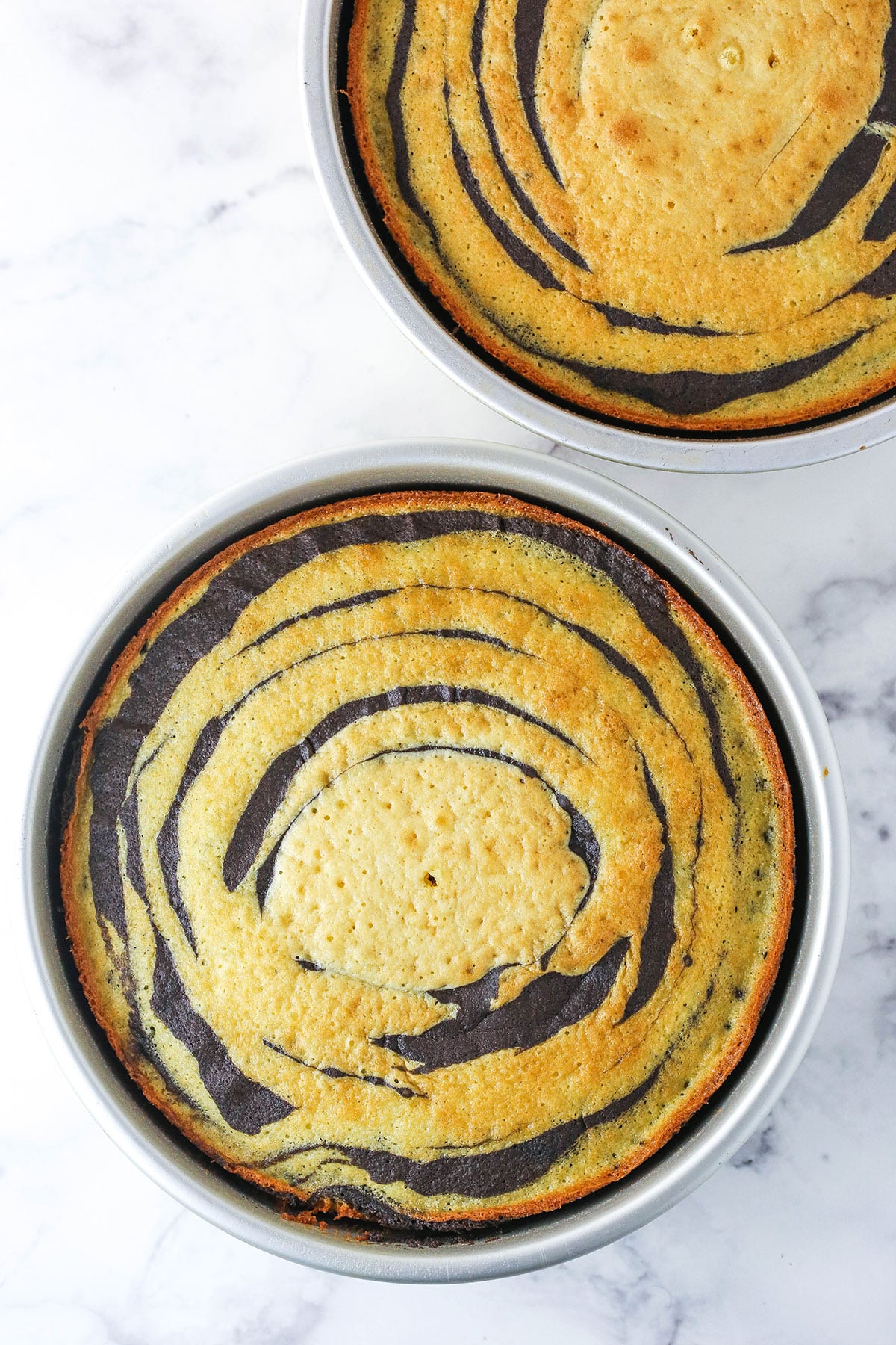 A Collage of the Vanilla and Chocolate Batter in the Cake Pans Before and After Baking