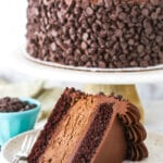 A Slice of Chocolate Layer Cake Next to the Rest of the Cake on a Cake Stand