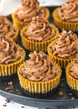 A Plate Full of Mini Coffee Cheesecakes Garnished with Crushed Chocolate Covered Espresso Beans