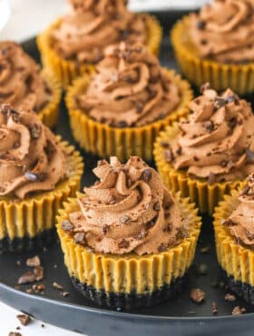 A Plate Full of Mini Coffee Cheesecakes Garnished with Crushed Chocolate Covered Espresso Beans