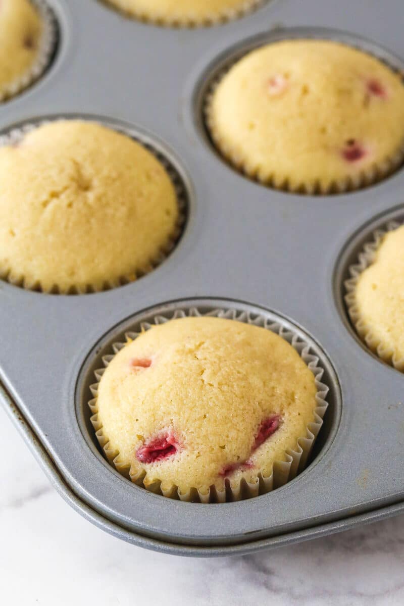 baked cupcakes in cupcake pan