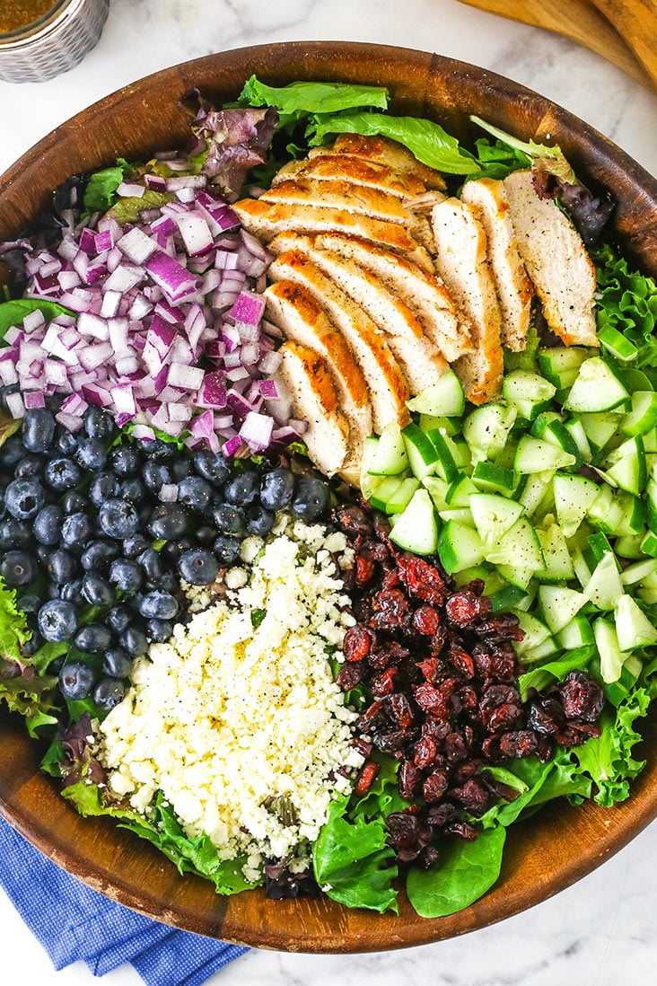 A bowl of greens with sliced chicken, onions, blueberries, feta, cucumber and dried cranberries