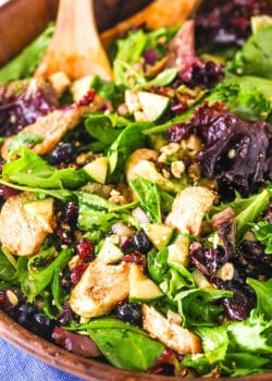 A close-up of a bowl of chicken feta salad