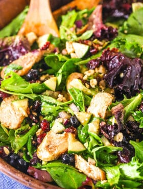 A close-up of a bowl of chicken feta salad