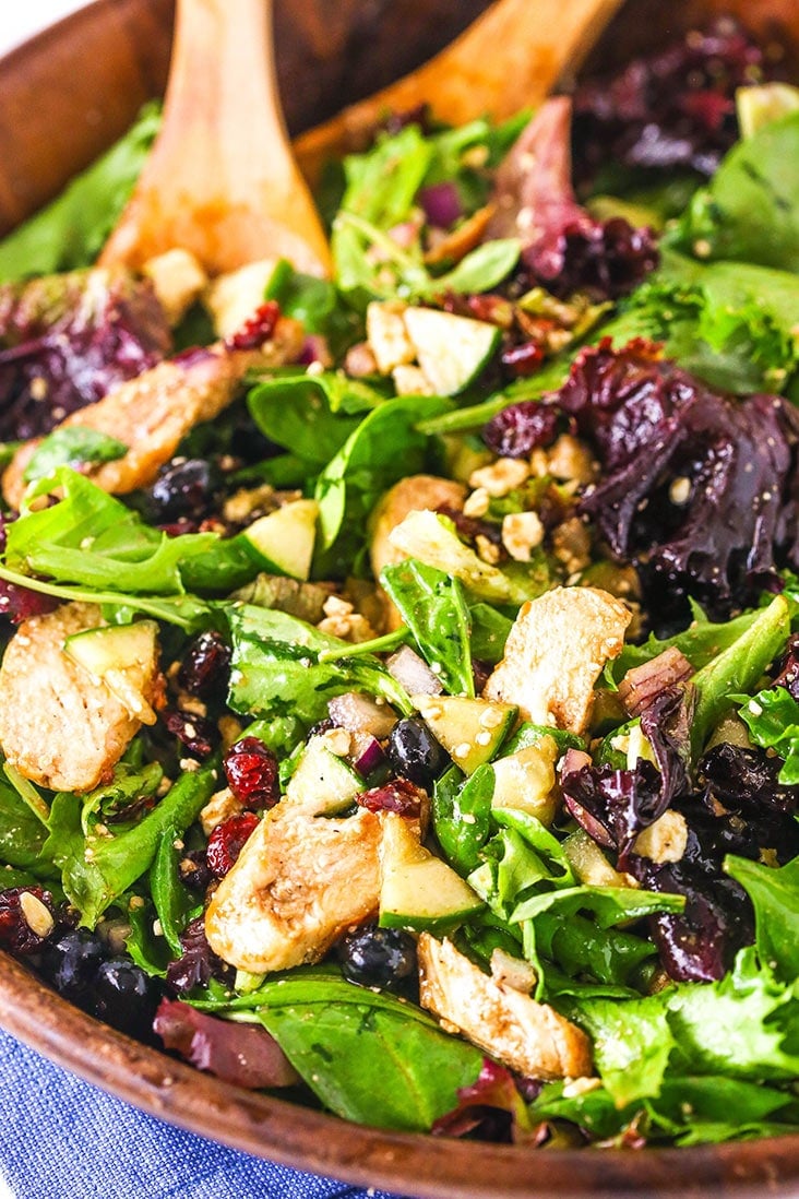 A close-up of a bowl of chicken feta salad