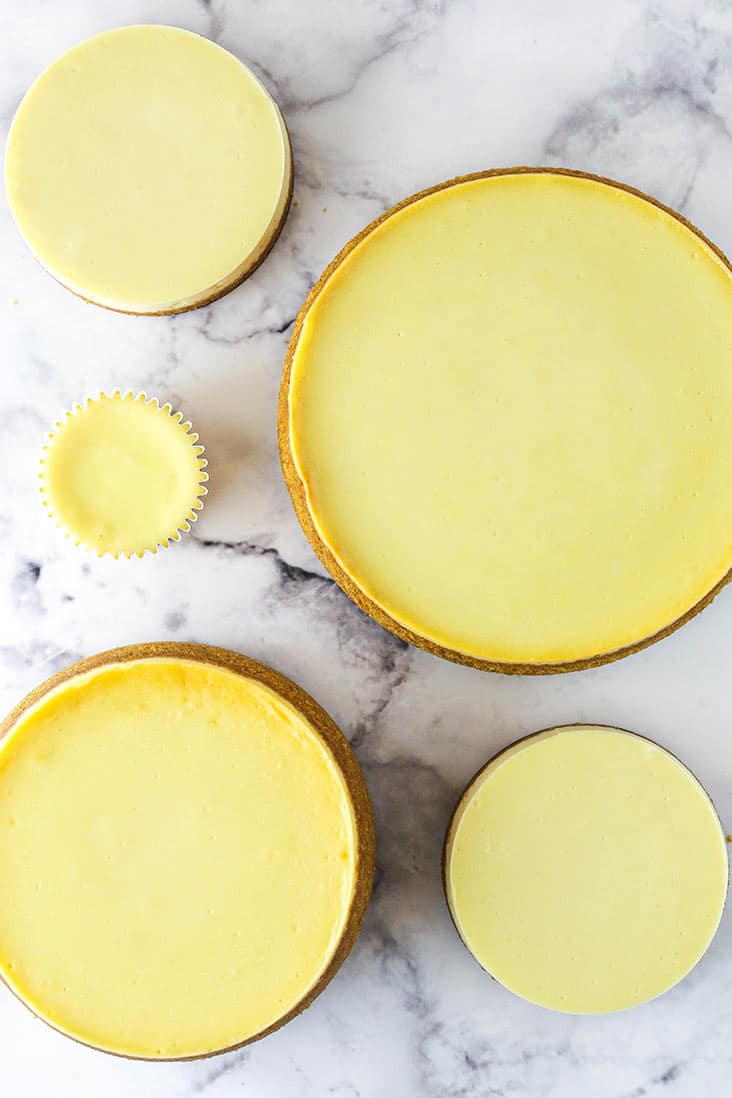 Guide to Adjusting Cheesecake Sizes - Life Love and Sugar