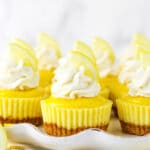 Several bite-sized lemon cheesecakes on a white serving dish topped with whipped cream