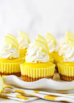 Several bite-sized lemon cheesecakes on a white serving dish topped with whipped cream