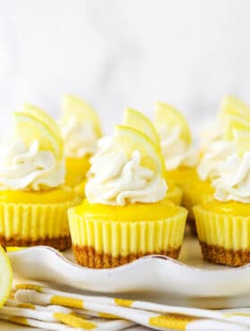 Several bite-sized lemon cheesecakes on a white serving dish topped with whipped cream