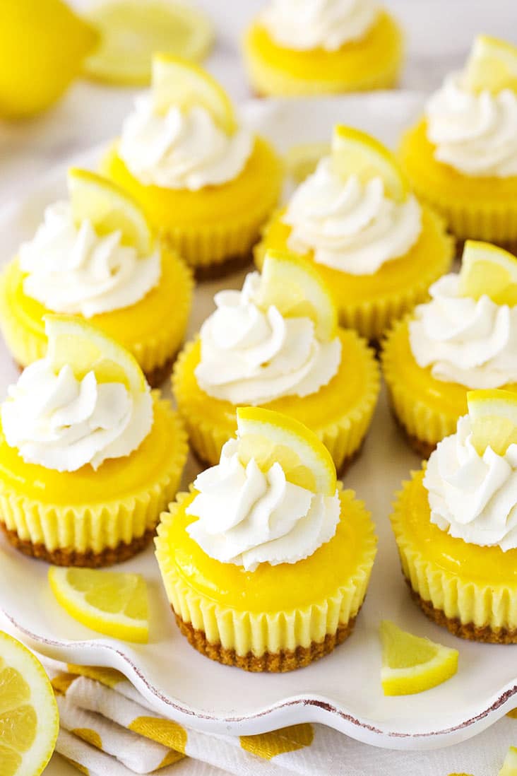 Overhead view of mini lemon cheesecakes topped with whipped cream on a white plate