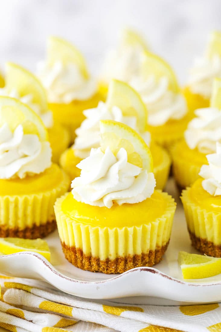 Mini cheesecakes with lemon curd and whipped cream topping