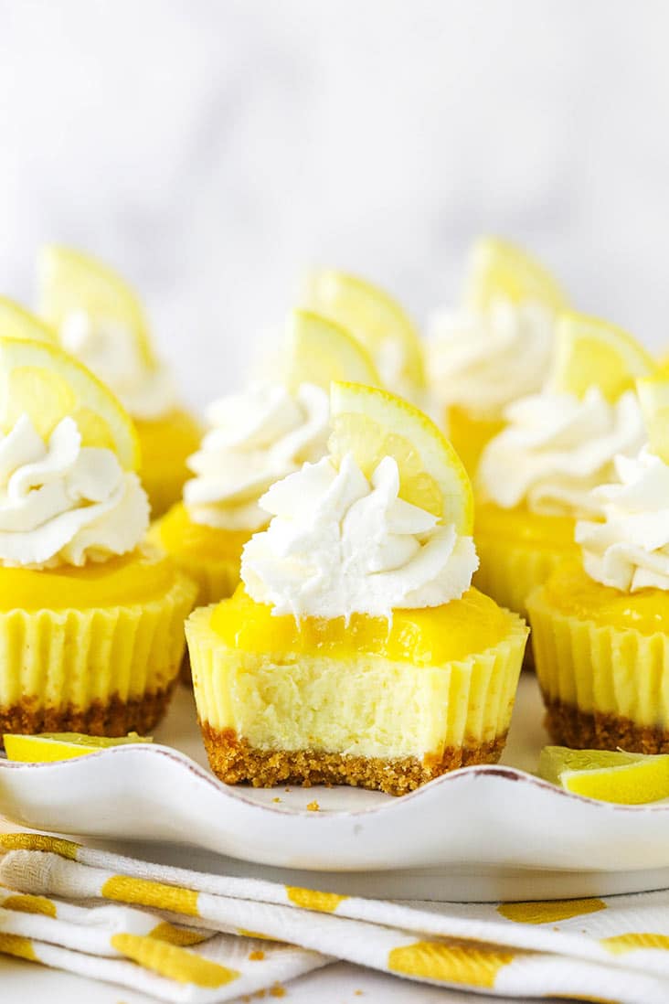 Mini lemon cheesecakes on a plate, with a bite missing from one