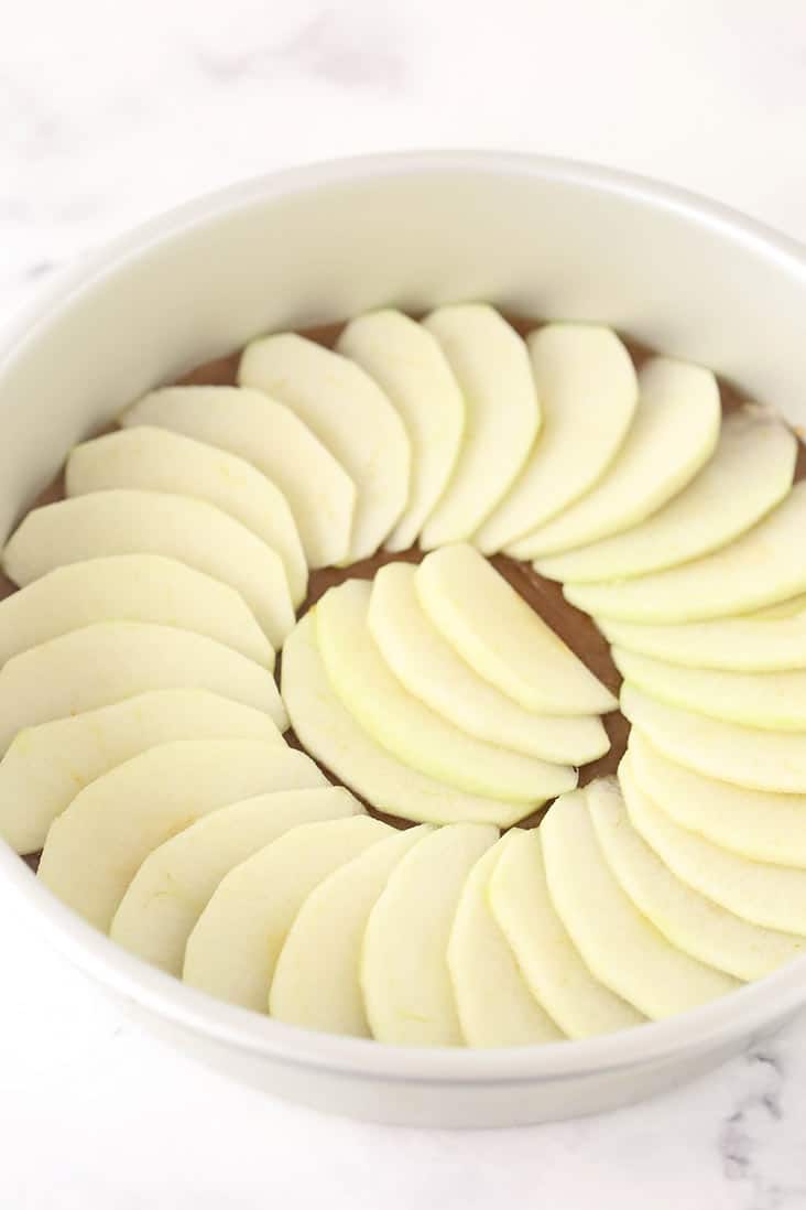 Apple slices on the bottom of a round cake pan