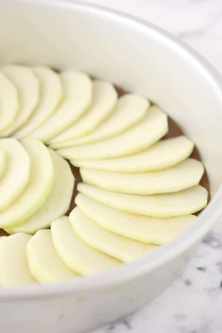 Apple slices on the bottom of a round cake pan