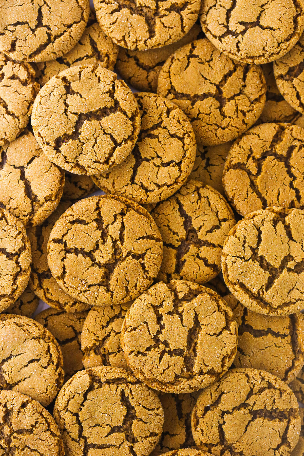 A large pile of homemade gingersnaps with crackly tops