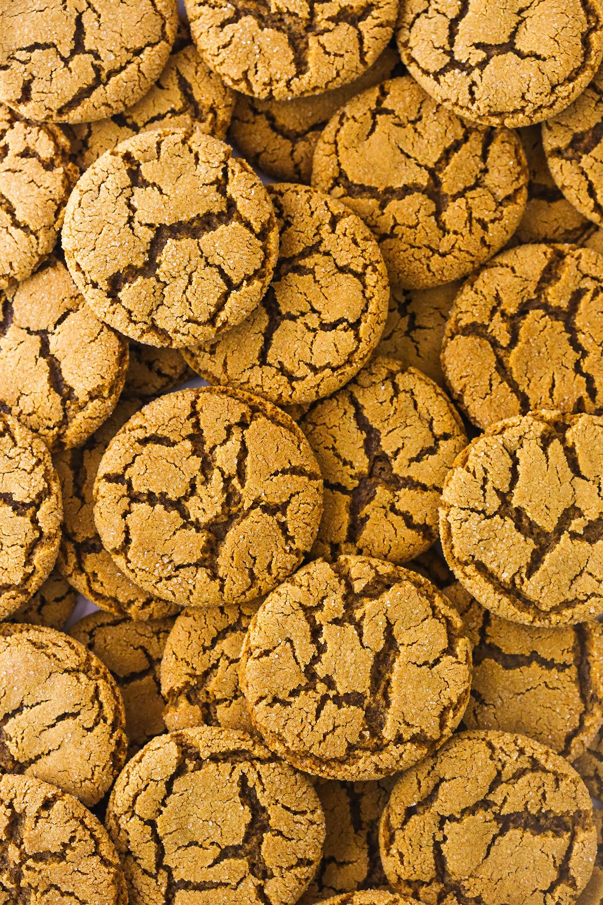 A large pile of homemade gingersnaps with crackly tops.