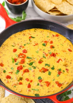 Rotel dip in a cast-iron skillet. Salsa and chips are nearby on the table.