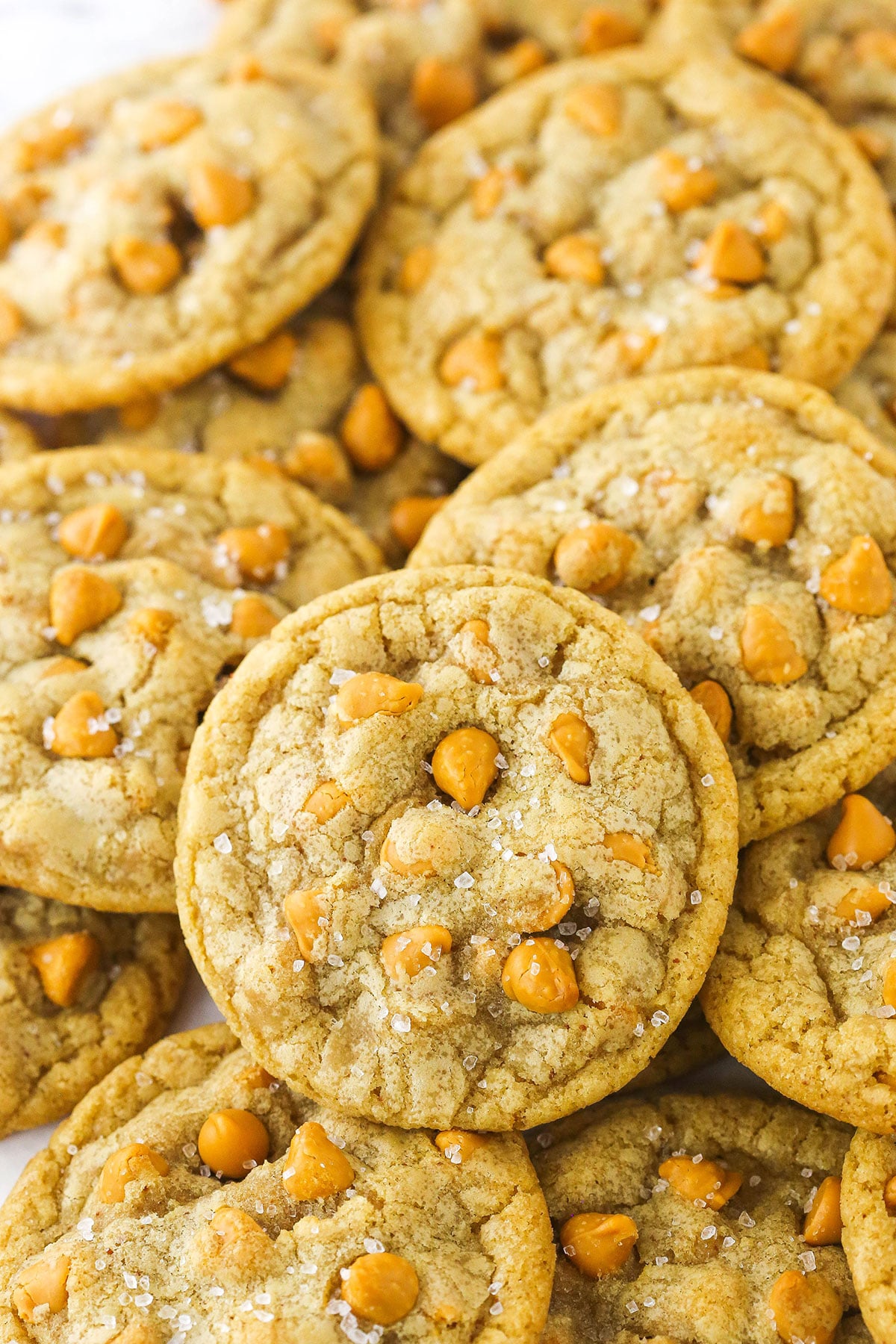 Close up of salted butterscotch cookies piled on a white countertop.