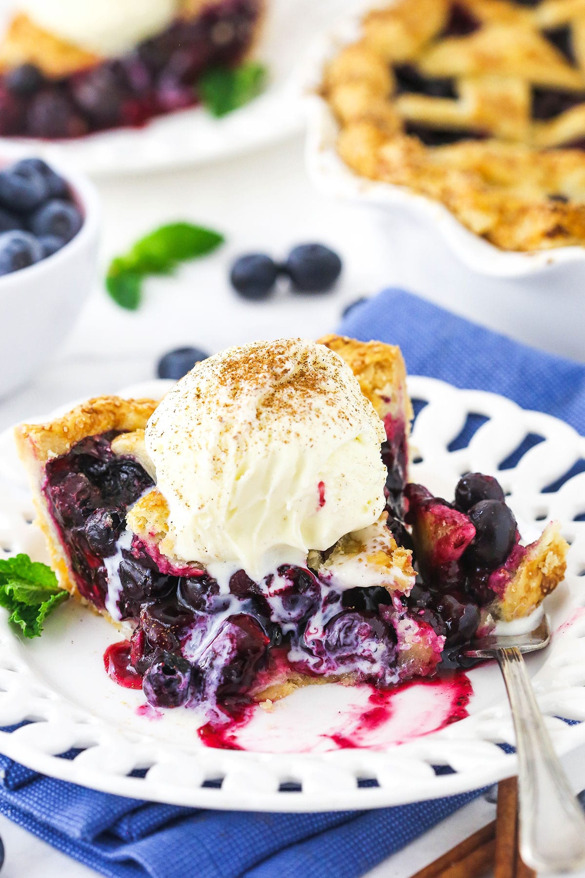 A half-eaten piece of blueberry pie on a plate with the remaining pie in the background