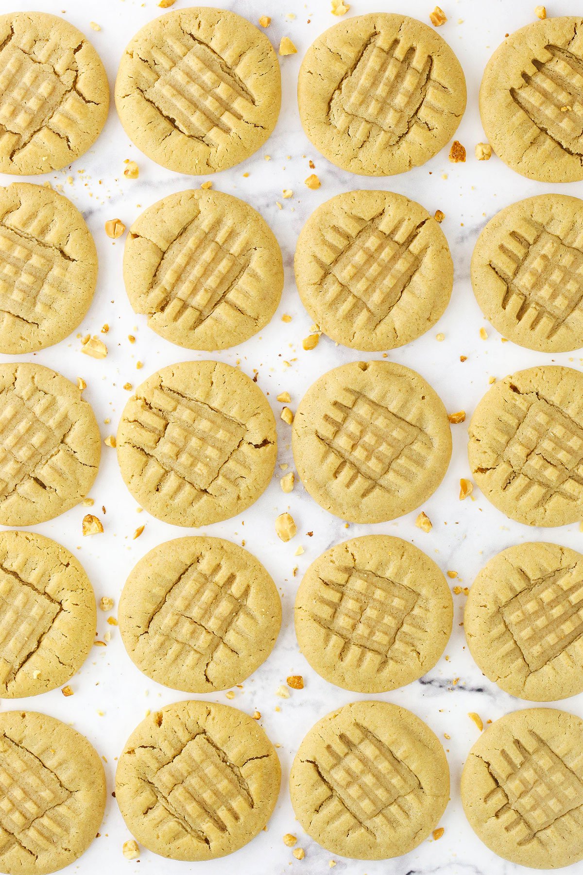 Twenty peanut butter cookies lined up on a countertop with chopped peanuts sprinkled about