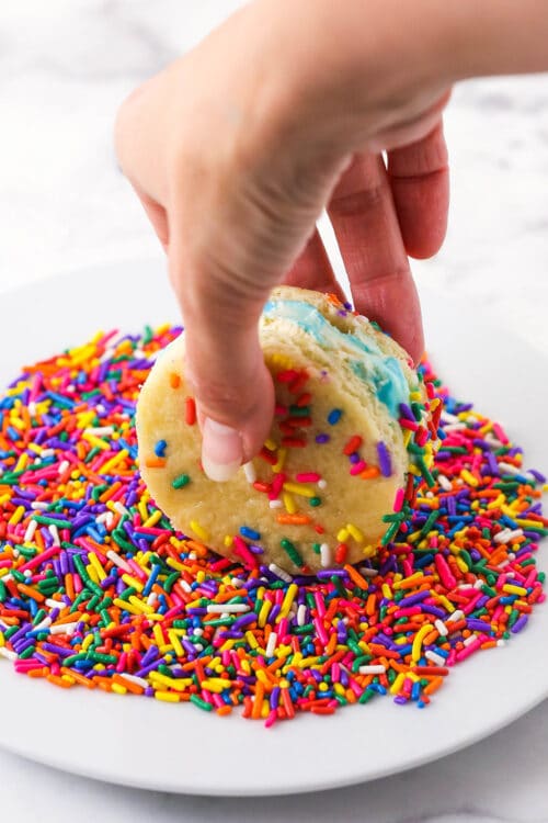 A homemade ice cream sandwich being rolled into rainbow sprinkles