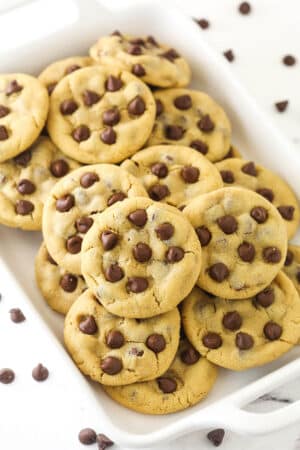 A plate of peanut butter chocolate chip cookies