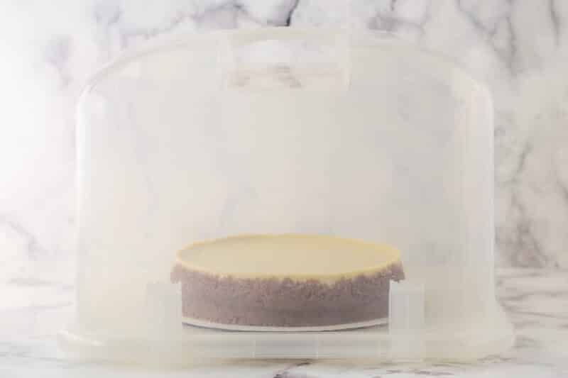 a cheesecake placed in an air tight cake carrier