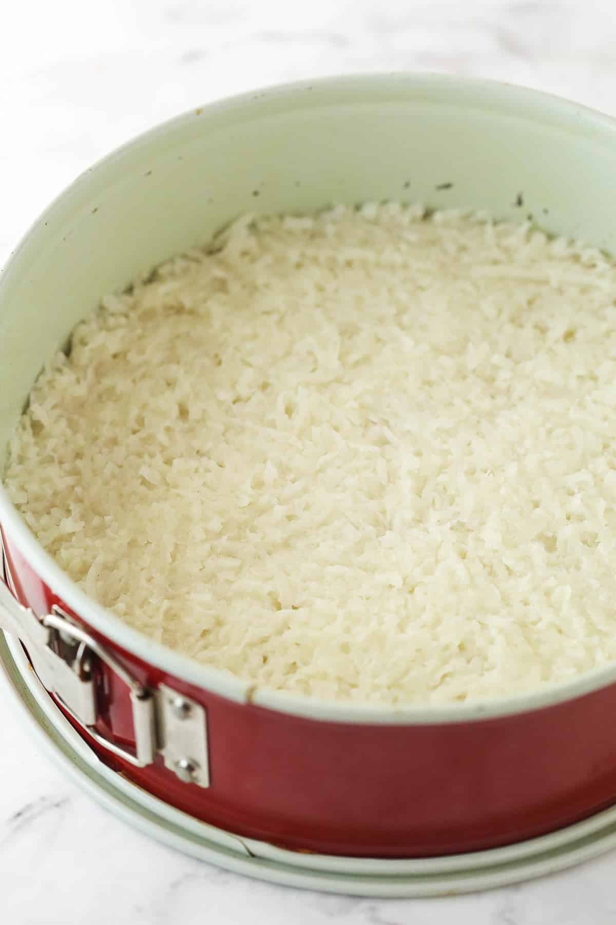 unbaked coconut macaroon crust in the bottom of the pan, on top of the cookie crust