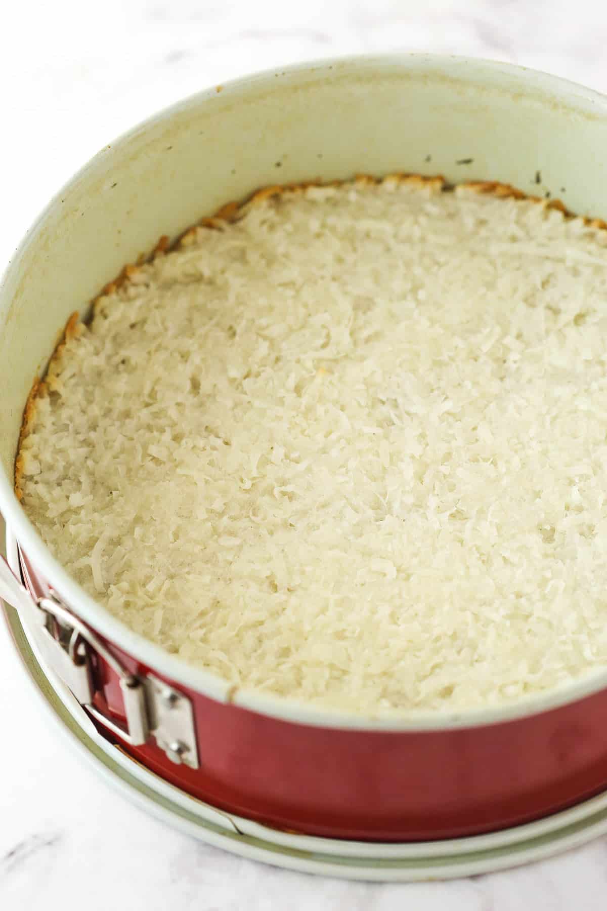 baked coconut macaroon crust in the bottom of the pan, on top of the cookie crust