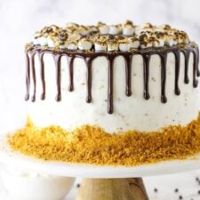 Smores Chocolate Cake-image