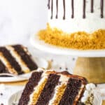 A slice of S'mores Cake with a fork on a white plate and the remaining S'mores Cake on a cake stand