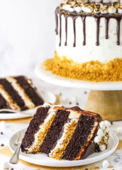 A slice of S'mores Cake with a fork on a white plate and the remaining S'mores Cake on a cake stand