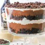 Side view of a full Boozy Baileys Chocolate Trifle in a glass trifle stand topped with chocolate chips