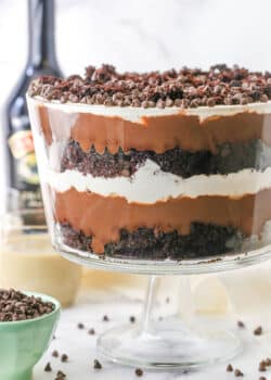 Side view of a full Boozy Baileys Chocolate Trifle in a glass trifle stand topped with chocolate chips