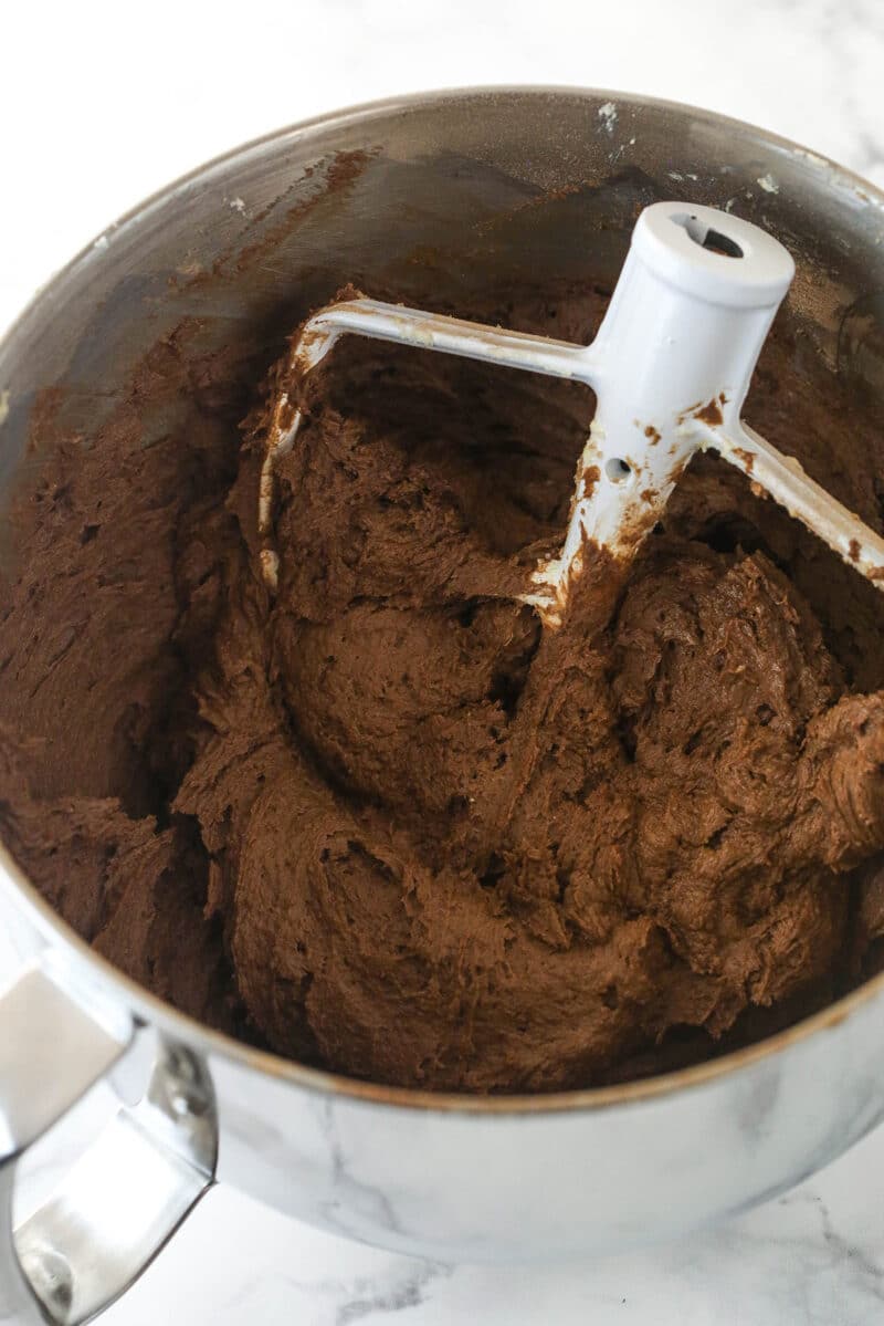 Mixing dry ingredients into wet ingredients for chocolate pound cake.