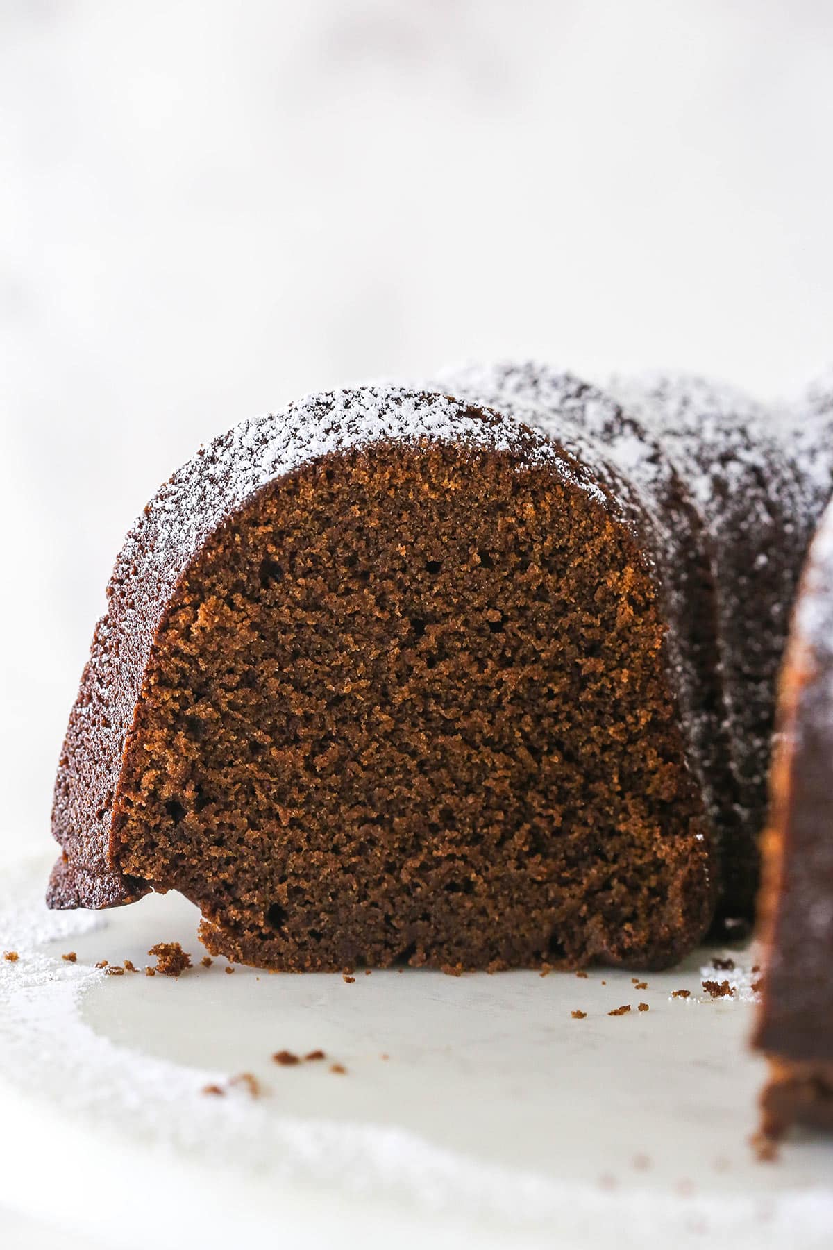 This simple chocolate pound cake is moist, tender, and full of chocolate flavor with an elegant dusting of powdered sugar to finish it off. Closeup of chocolate pound cake with a bite taken out of it.
