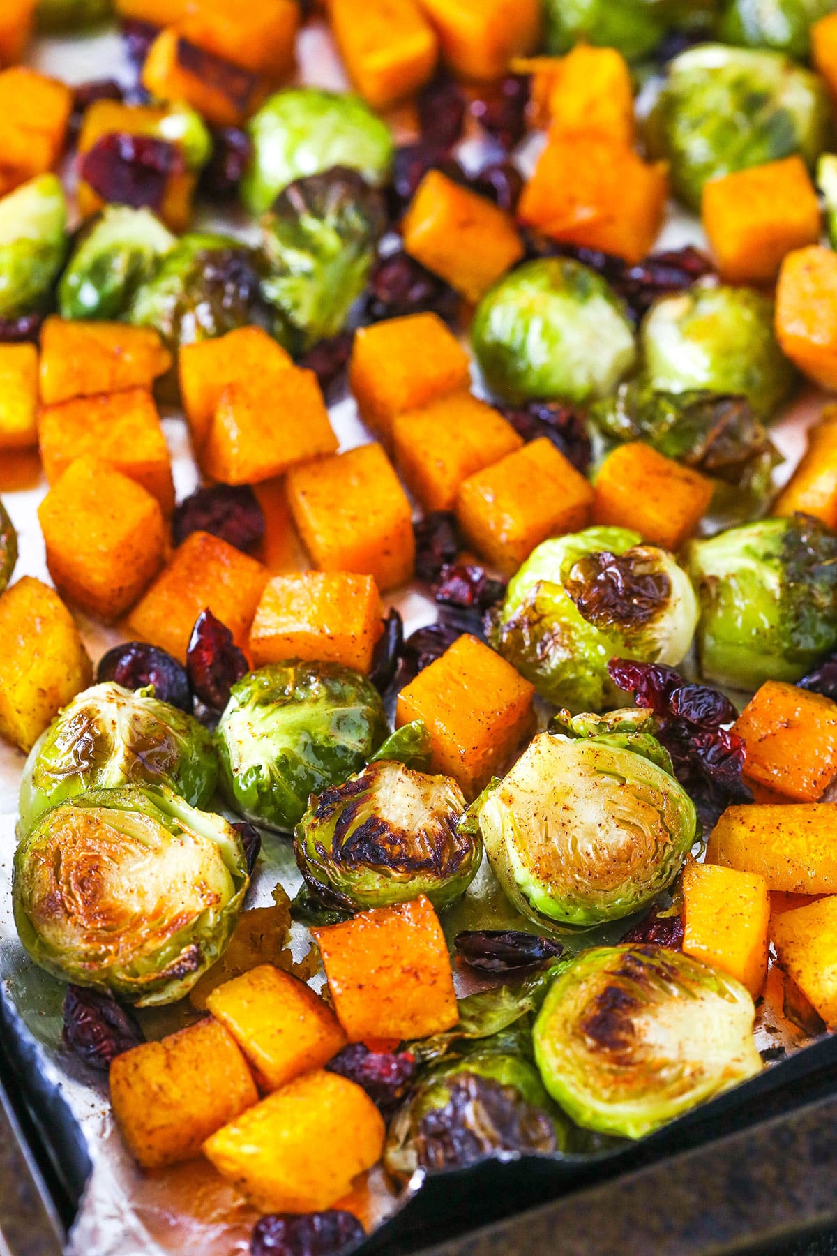 Overhead view of Honey Roasted Brussels Sprouts with Butternut Squash and Cranberries