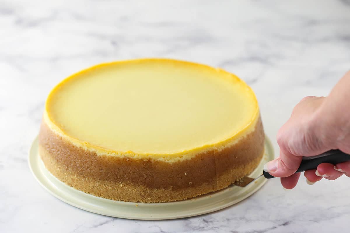 a cheesecake on the base of a springform pan with an offset spatula between the pan bottom and bottom of the cheesecake
