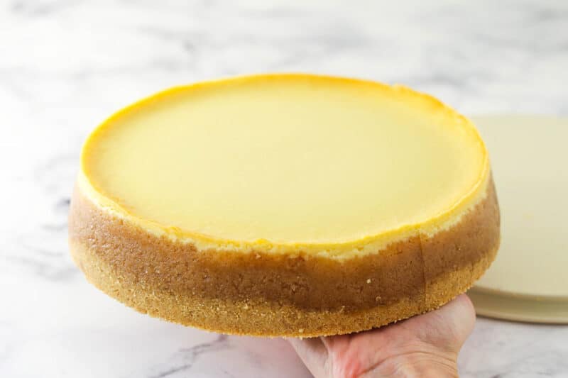 How to Remove Cheesecake from Springform Pan Life Love and Sugar