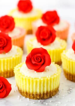 Mini Rose Cheesecakes topped with white icing and a red rose on a white marble table