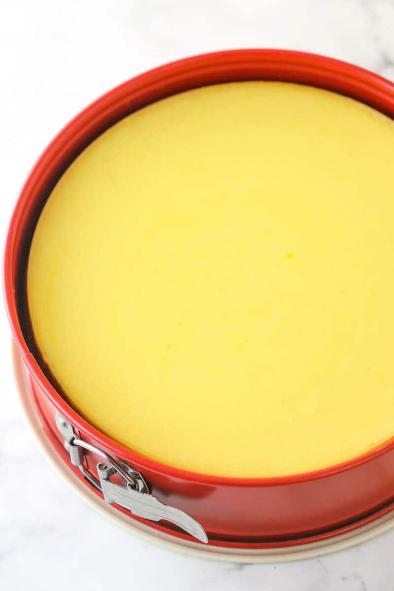 Lemon cheesecake baked in a springform pan before being topped with lemon curd.