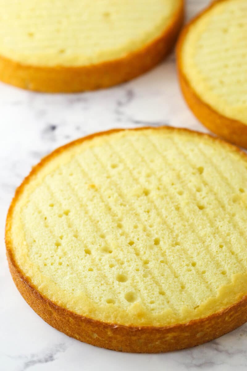 3 layers of moist vanilla cake ready to be stacked, filled, and frosted