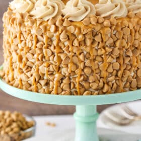 Side view of peanut butter layer cake on a cake stand.
