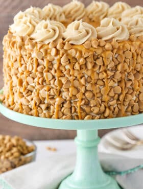 Side view of peanut butter layer cake on a cake stand.